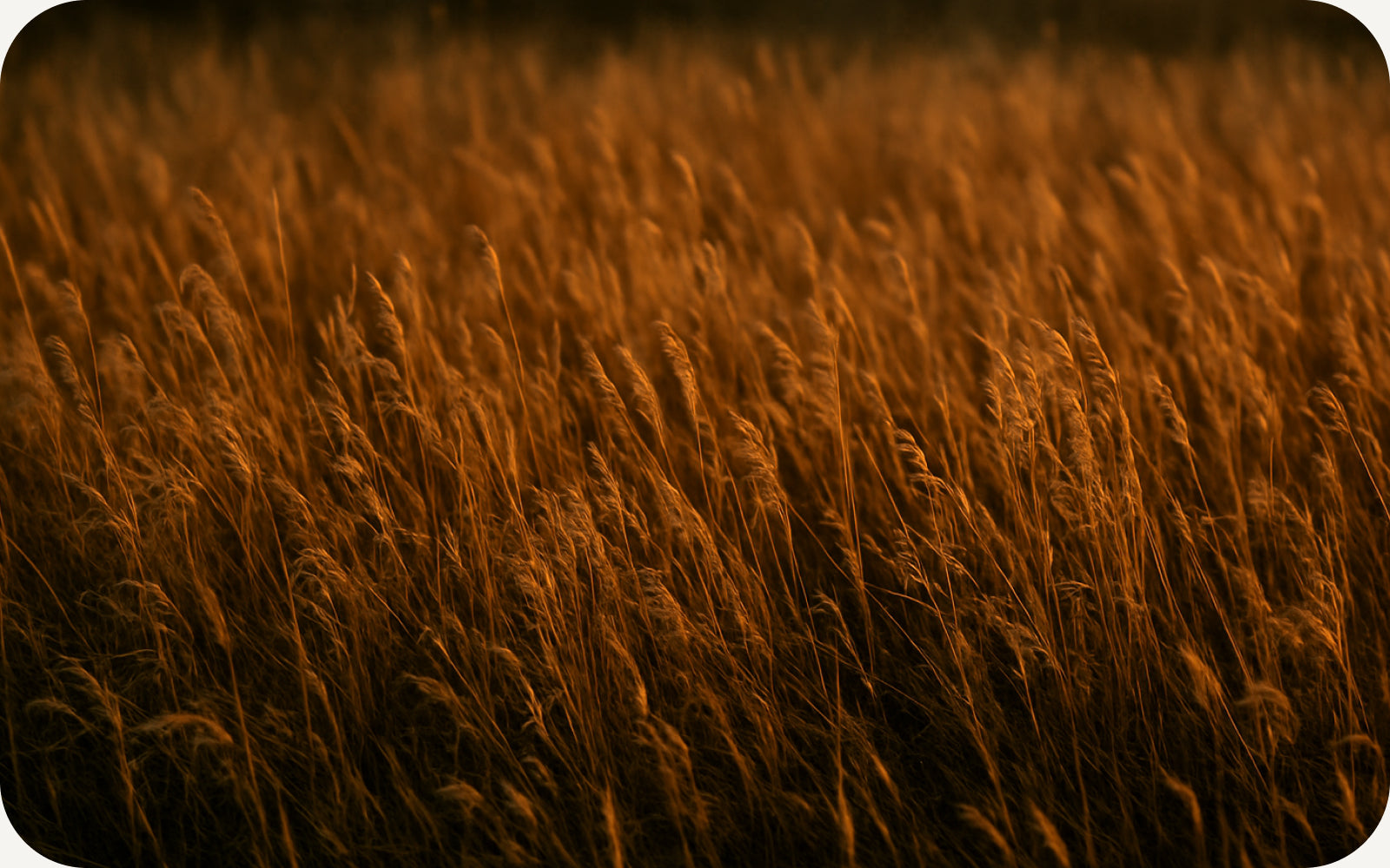 Slow Fashion. Sustainable by Design